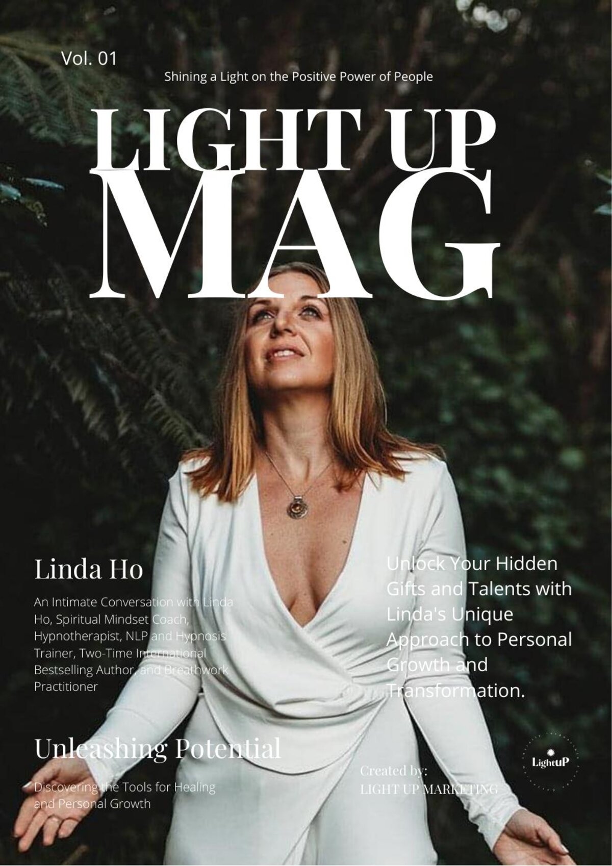 Cover of Vol. 1 — Linda Ho